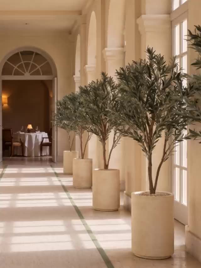 Visualisation. A gallery of potted olive trees leading to a restaurant door