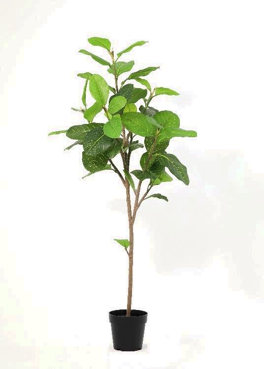 Alpine, a floor-standing tree, 147 cm overall, photographed on a plain pale ground