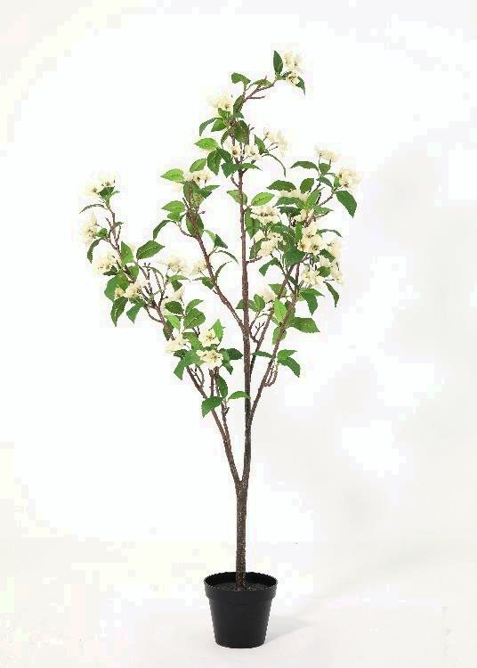 Apple Tree, yellow, a floor-standing tree, 126 cm overall, photographed on a plain pale ground