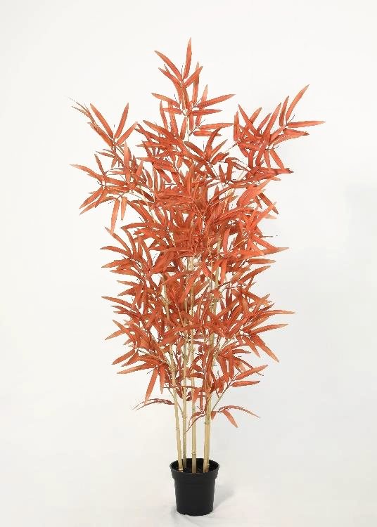 Bamboo, a floor-standing tree, 128 cm overall, photographed on a plain pale ground