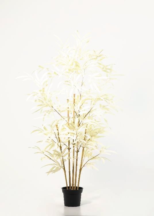Bamboo, a floor-standing tree, 128 cm overall, photographed on a plain pale ground