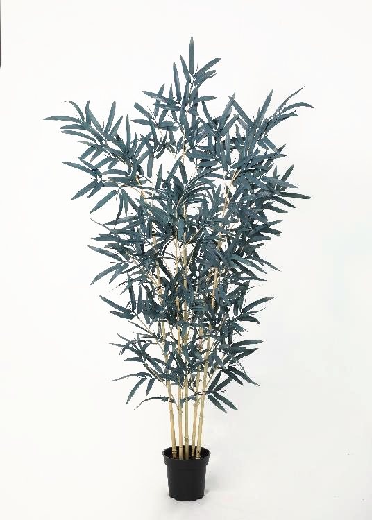 Bamboo, a floor-standing tree, 128 cm overall, photographed on a plain pale ground