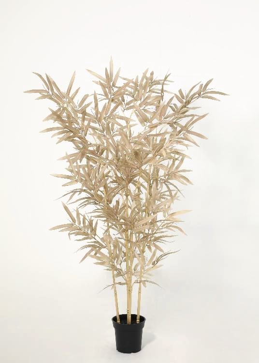Bamboo, a floor-standing tree, 133 cm overall, photographed on a plain pale ground
