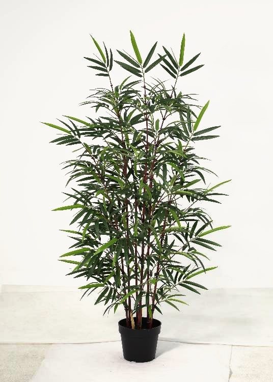 Bamboo, a floor-standing tree, 150 cm overall, photographed on a plain pale ground