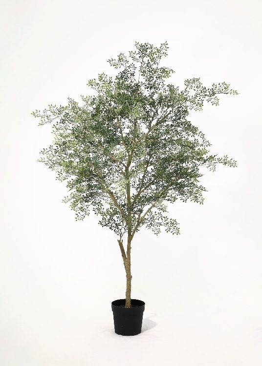 White Blossom, a floor-standing tree, 206 cm overall, photographed on a plain pale ground