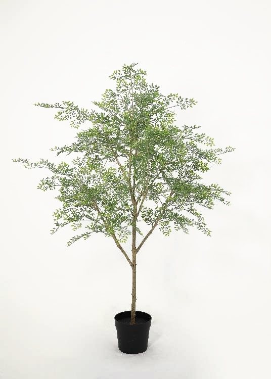 Foliage Tree, green, a floor-standing tree, 169 cm overall, photographed on a plain pale ground
