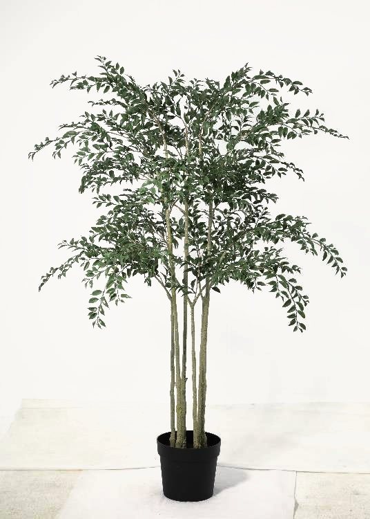 Foliage Tree, green, a floor-standing tree, 182 cm overall, photographed on a plain pale ground