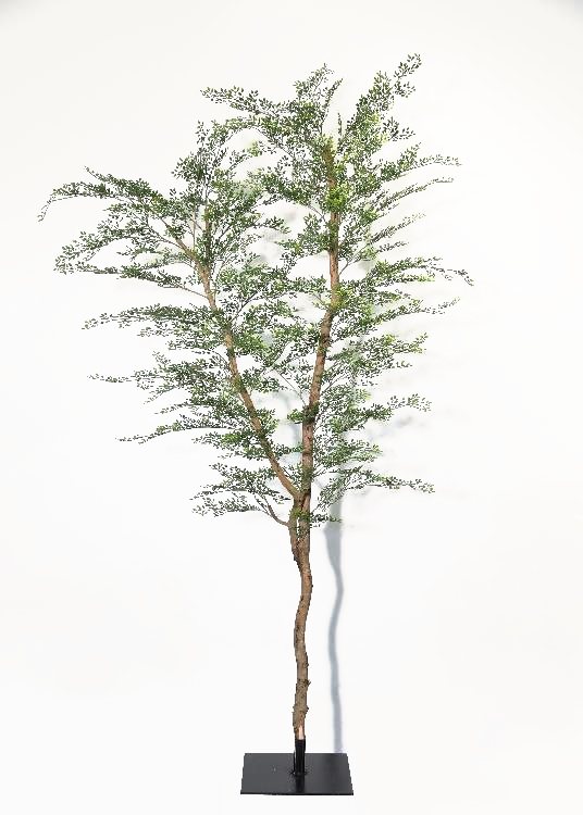 Foliage Tree, green, a floor-standing tree, 280 cm overall, photographed on a plain pale ground