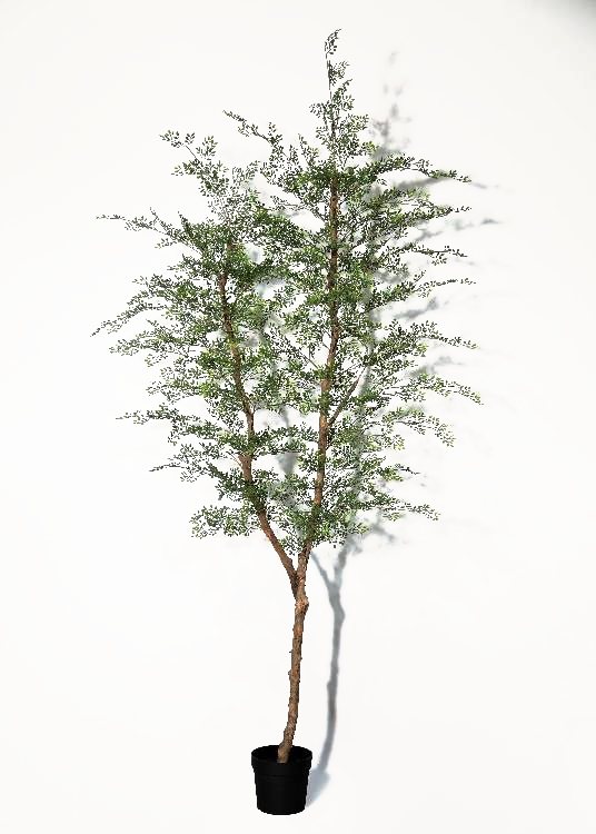 Foliage Tree, green, a floor-standing tree, 280 cm overall, photographed on a plain pale ground